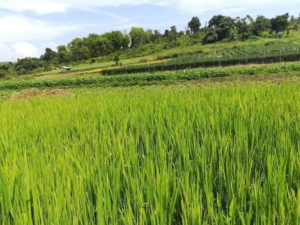 Hotel Shwe Nann Htike Пин О Луин Екстериор снимка